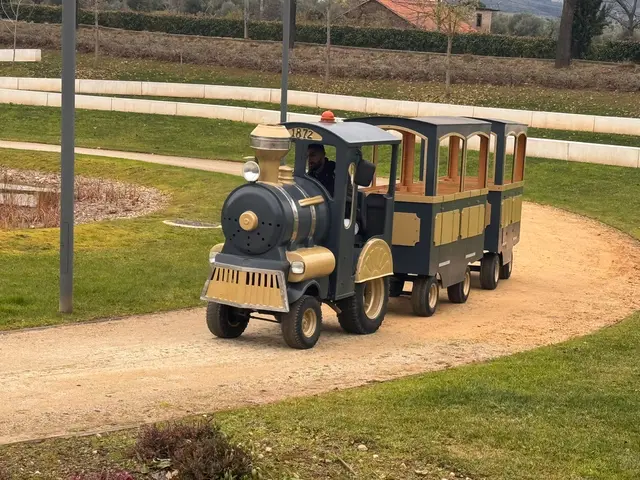Foto de comboios e diversões num evento SomXXL (4)