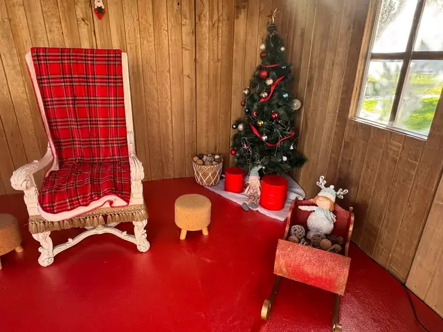 Foto de natal e feiras num evento SomXXL (14)