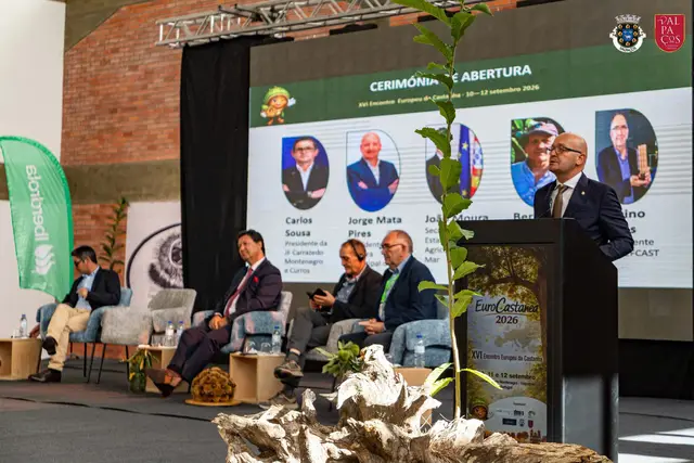 Foto de tendas e mobiliário num evento SomXXL (24)