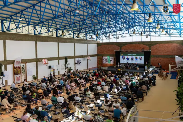 Foto de tendas e mobiliário num evento SomXXL (26)